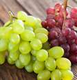 Entenda os diferentes benefícios das uvas verde e roxa  Foto: Shutterstock / Alto Astral
