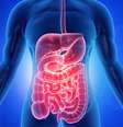 Sintomas de câncer no intestino  Foto: Shutterstock / Saúde em Dia