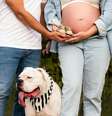 Estudo mostra que o luto de perder um cachorro é semelhante ao de perder um filho (Imagem: Filipe Coelho/Pexels)  Foto: Canaltech