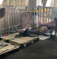 Animais mais dóceis podem ficar na mesma baia; separação foi improvisada por voluntários  Foto: Divulgação / BBC News Brasil