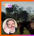  Foto: Montagem Homework