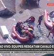Cavalo flagrado ilhado em telhado de casa no RS é resgatado por bombeiros  Foto: Reprodução/TV Globo