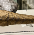 Objeto fálico de 2 mil anos atrás encontrado pelos pesquisadores  Foto: Divulgação/Universidade de Newcastle/Vindolanda Trust