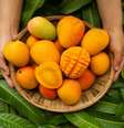 Nutricionista aponta os benefícios da manga para a saúde  Foto: Shutterstock / Saúde em Dia