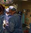 Primeiro transplante de rim de porco em uma pessoa viva —  Foto: Massachussets General Hospital / Perfil Brasil