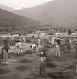 Há 136 anos a Lei Áurea oficializava a abolição da escravidão no Brasil  Foto: Marc Ferrez/Coleção Gilberto Ferrez/Acervo Instituto Moreira Salles / Perfil Brasil