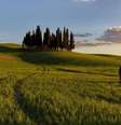 Ciprestes enfileirados, campos de girassóis, vilarejos... Na Toscana, não faltam cenários espetaculares para dizer 'sim'  Foto: Nicola Pezza/Pixabay / Viagem e Turismo