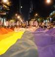 A pesquisa foi feita com 515 lésbicas, gays, bissexuais, trans, queer, intersexuais, assexuais, pansexuais e outros  Foto: Fernando Frazão/Agência Brasil
