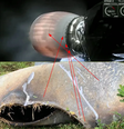 Comparação da tubeira de um foguete Falcon 9 com lixo espacial encontrado no Paraná (Imagem: Jocimar Justino / BRAMON)  Foto: Canaltech
