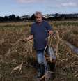 Agricultor exibe colheita de milho perdida nas enchentes que atingiram o Rio Grande do Sul  Foto: DW / Deutsche Welle