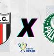 (  Foto: Botafogo-SP x Palmeiras / Esporte News Mundo
