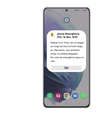 Novo sistema envia uma notificação pop-up na tela do celular (Imagem: Divulgação/Anatel)  Foto: Canaltech