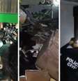 Operação da Polícia Civil e Ibama realizou vistoria em pet shop  Foto: Divulgação/Polícia Civil