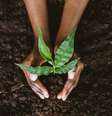 Sustentabilidade.  Foto: Getty Images