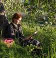 Série da Netflix é inspirada em livro de 1908. Mas a província ao redor de Green Gables, uma fazenda que existe na vida real, oferece atrações até para quem não conhece a obra  Foto: Netflix/Tourism PEI/Reprodução / Viagem e Turismo
