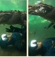 Biólogo interage com crocodilo e imagens impressionam  Foto: Reprodução/Instagram/Christopher Gillette