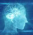 Serotonina é um neurotransmissor / Foto: Shutterstock  Foto: Sport Life