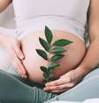 Conheça 3 produtos comuns que podem diminuir a fertilidade  Foto: Shutterstock / Saúde em Dia
