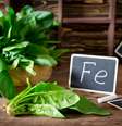 O espinafre é um vegetal rico em nutrientes importantes  Foto: vkuslandia | Shutterstock / Portal EdiCase
