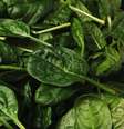 Espinafre é um vegetal versátil repleto de nutrientes  Foto: Shutterstock / Alto Astral
