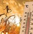 Imagem mostra representação de altas temperaturas.  Foto: piyaset / Getty Images