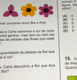 Questão sobre flores em olimpíada de matemática movimenta internet  Foto: Reprodução/YouTube
