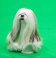 Raças reais de cães inspiram personagens animados que conquistam os fãs de animações com suas adoráveis características  Foto: Sue Thatcher | Shutterstock / Portal EdiCase