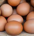 Confira os principais substitutos do ovo  Foto: Shutterstock / Alto Astral