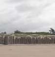 Muro na praia de Pernambuco  Foto: Divulgação Globo