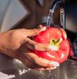 Higienizar e armazenar os alimentos corretamente é fundamental para prevenir a intoxicação alimentar  Foto: Shutterstock / Alto Astral