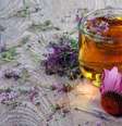Chá de echinacea com gengibre e limão  Foto: KRIACHKO OLEKSII | Shutterstock / Portal EdiCase