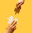 Aprenda como aplicar esta técnica  Foto: Shutterstock / João Bidu