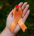 Junho Laranja faz alerta contra a leucemia  Foto: Jack7_7 | Shutterstock / Portal EdiCase