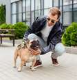 Passear com os cachorros é essencial para manter a saúde física e mental dos animais  Foto: LightField Studios | Shutterstock / Portal EdiCase