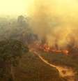 Queimadas na Amazônia se tornaram mais frequentes nos últimos 40 anos, representando um imenso impacto ambiental.  Foto: Canva Fotos / Perfil Brasil
