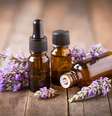 O aroma de lavanda acalma e ajuda a aliviar o estresse  Foto: pilipphoto | Shutterstock / Portal EdiCase