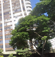 Prédio onde acidente ocorreu fica na Rua dos Guajajaras  Foto: Reprodução/Google Maps