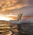 Aquecimento global  Foto: Paul Souders