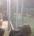 Local de disparos é um campo de futebol em Fotaleza   Foto: Reprodução/TV Canindé