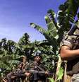 Soldados colombianos patrulhando uma plantação de banana em 2000  Foto: Getty Images / BBC News Brasil