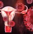  Foto: Mayo Clinic / Reprodução