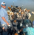 EUA: pescadores viram heróis ao resgatarem 38 cães de afogamento em lago no Mississippi   Foto: Reprodução