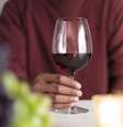 Conheça as diferenças entre as uvas do vinho tinto  Foto: Freepik