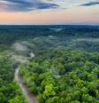 Amazônia, bioma brasileiro  Foto: Pexels | Banco gratuito de imagens