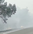 Estrada que liga Campo Grande à Corumbá está tomada de fumaça  Foto: Reprodução/Jornal Nacional/TV Globo