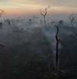 Uma visão de drone mostra a fumaça de um incêndio subindo no ar enquanto árvores queimam entre a vegetação do Pantanal, em Corumbá, estado de Mato Grosso do Sul, Brasil, 11 de junho de 2024.  Foto: Reuters/Ueslei Marcelino