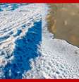 Temperaturas extremamente baixas congelam ondas do mar na Terra do Fogo  Foto: Reprodução