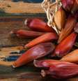 Confira os benefícios do pinhão para a saúde  Foto: Shutterstock / Alto Astral