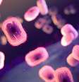 Com surto de mpox, o Congo aprovou duas vacinas contra a doença, incluindo a Jynneos (Imagem: NIAID/Unsplash)  Foto: Canaltech