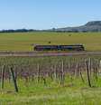 Novo passeio de trem no Rio Grande do Sul vai ter viagens a partir do dia 20 de julho  Foto: Flow Films/Divulgação / Viagem e Turismo